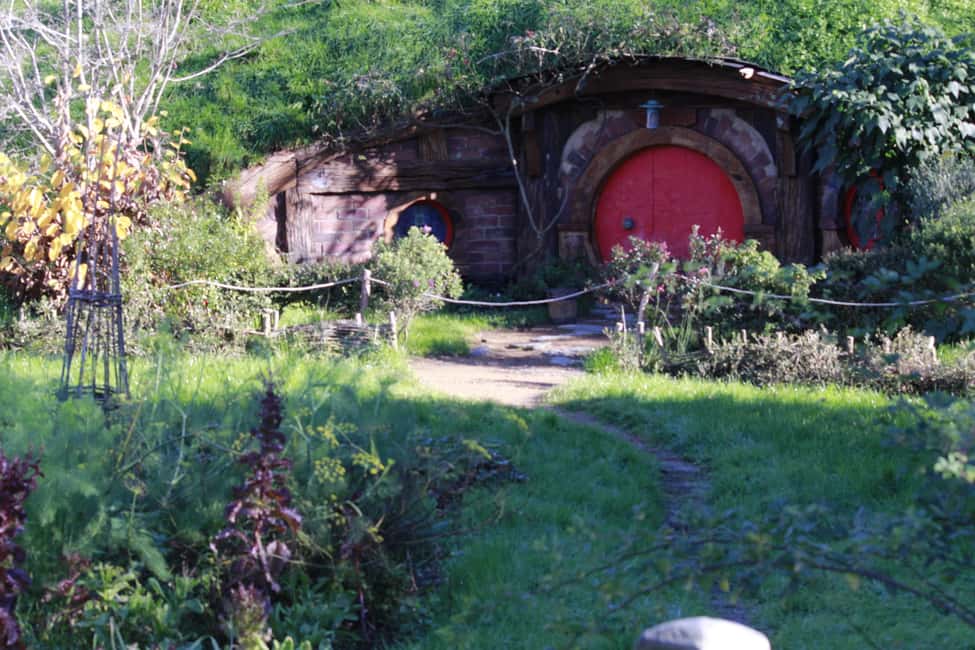 Image N°7 de Au départ d'Auckland : Circuit Hobbiton et Rotorua avec déjeuner à Te Puia activité à Rotorua, publiée par le prestataire
