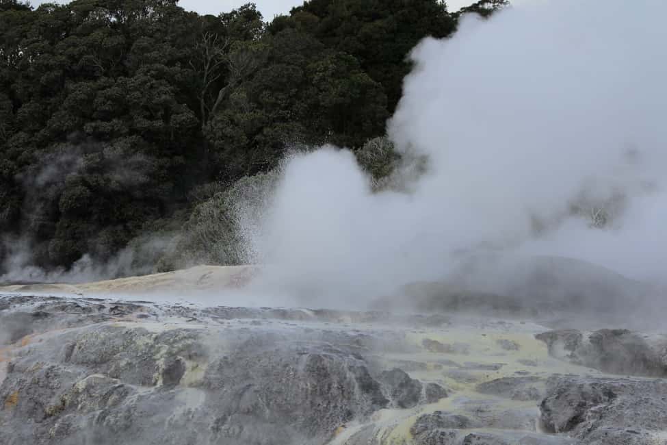 Image N°10 de Au départ d'Auckland : Circuit Hobbiton et Rotorua avec déjeuner à Te Puia activité à Rotorua, publiée par le prestataire
