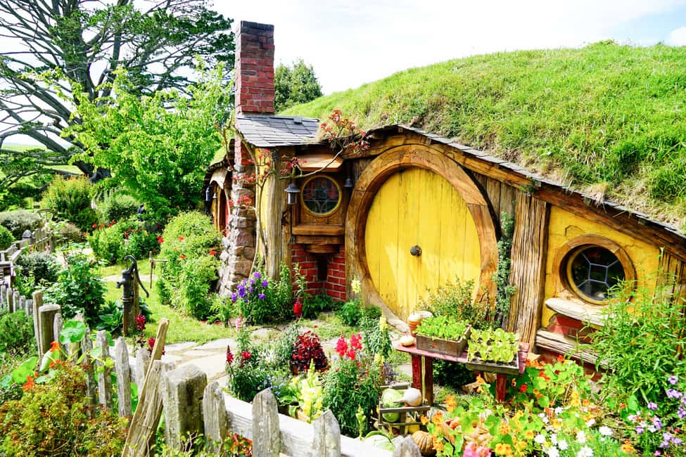 Image N°3 de Au départ d'Auckland : Circuit Hobbiton et Rotorua avec déjeuner à Te Puia activité à Rotorua, publiée par le prestataire