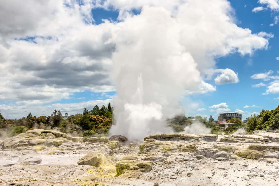 Image N°11 de Au départ d'Auckland : Circuit Hobbiton et Rotorua avec déjeuner à Te Puia activité à Rotorua, publiée par le prestataire
