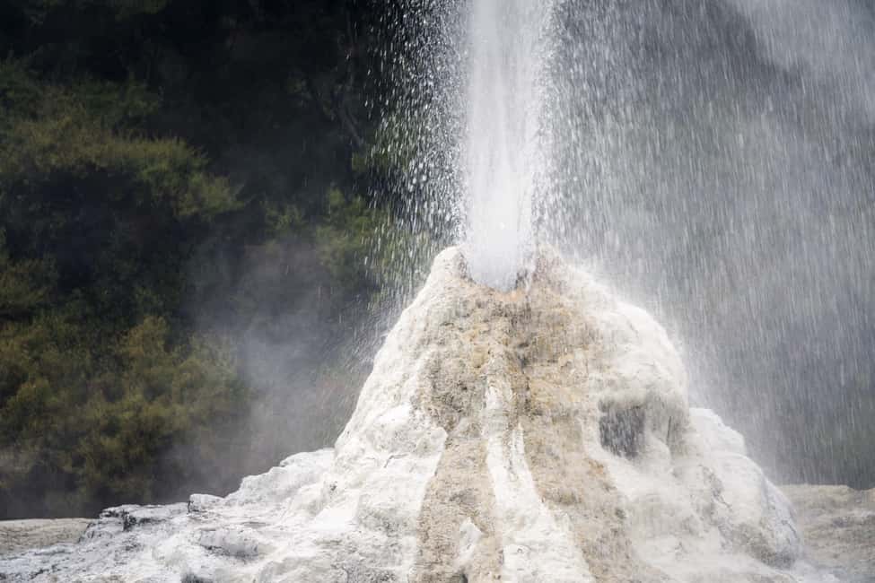 Image N°12 de Au départ d'Auckland : Circuit Hobbiton et Rotorua avec déjeuner à Te Puia activité à Rotorua, publiée par le prestataire