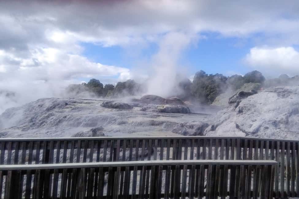 Image N°14 de Au départ d'Auckland : Circuit Hobbiton et Rotorua avec déjeuner à Te Puia activité à Rotorua, publiée par le prestataire