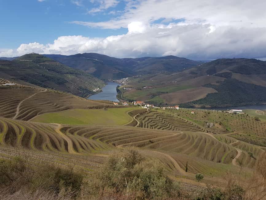 Bild Nr. 10 von Porto: 3 Douro Valley Vineyards Tour mit Mittagessen Aktivität in Região Norte, hochgeladen vom Anbieter