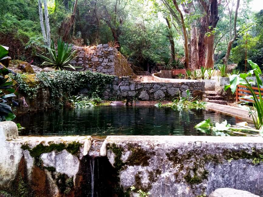 image n.9 of Silves, Caldas and Monchique Wine Tasting: Full Day Tour activity in Silves, uploaded by supplier