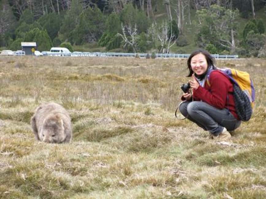 image n.4 of From Launceston: Cradle Mountain - Active Day Tour activity in Tasmania, uploaded by supplier