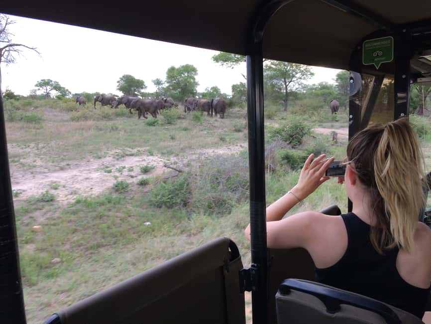 image n.2 of Full-Day Private Big 5 Safari in Kruger National Park activity in Hazyview, uploaded by supplier