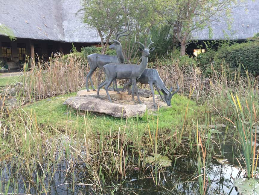image n.16 of Full-Day Private Big 5 Safari in Kruger National Park activity in Hazyview, uploaded by supplier