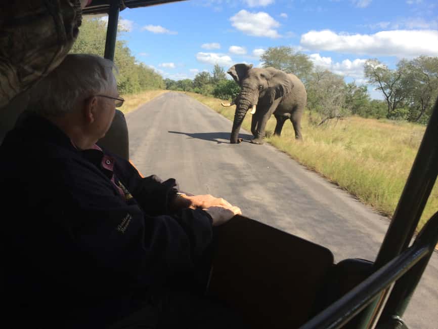 image n.17 of Full-Day Private Big 5 Safari in Kruger National Park activity in Hazyview, uploaded by supplier