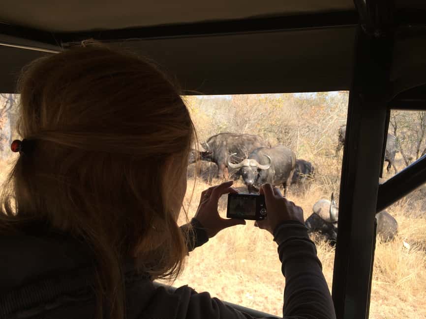 image n.20 of Full-Day Private Big 5 Safari in Kruger National Park activity in Hazyview, uploaded by supplier