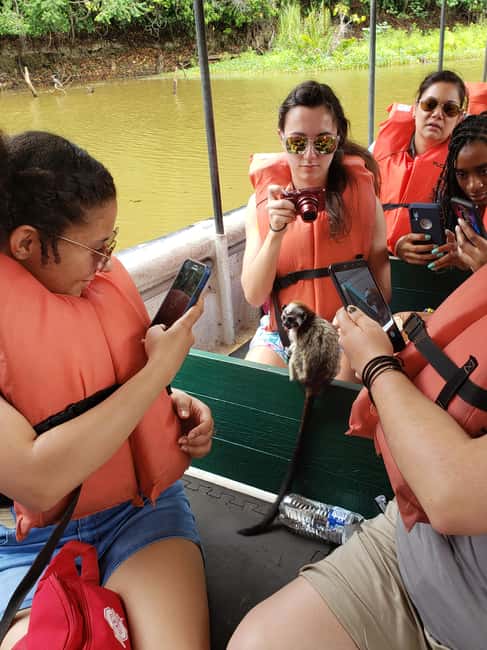 image n.9 of Monkey Island and Indian Village Tour activity in Panama Province, uploaded by supplier