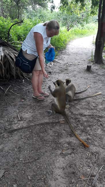 image n.1 of City tour, Banjul, Arch 22, Museums, Crocodiles and Monkeys activity in Banjul, uploaded by supplier