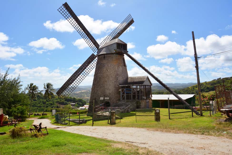 image n.3 of Barbados: Island Tour with Animal Flower Cave and Lunch activity in Saint Andrew, uploaded by supplier