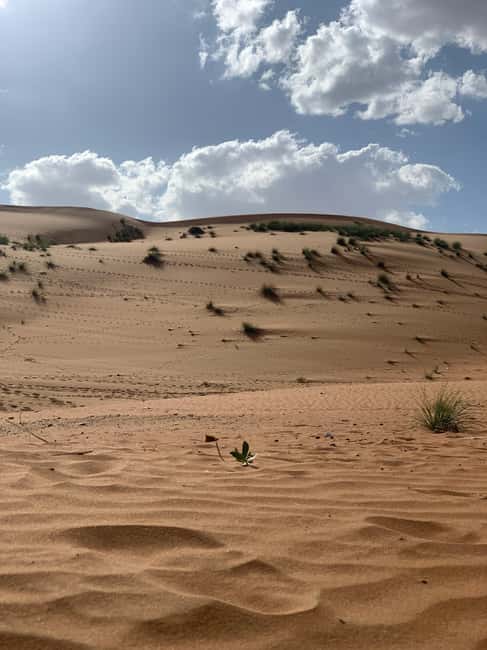 Obraz nr 8 z atrakcji Muscat: Pustynia Wahiba i Wadi Bani Khalid - prywatna wycieczka + lunch w Al-Mintakat asz-Szarkijja, przesłany przez organizatora