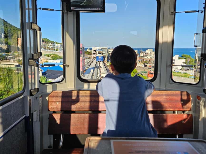 image n.3 of Busan / Gyeongju Customizable Private Tour (up to 8pax) activity in Busan, uploaded by supplier