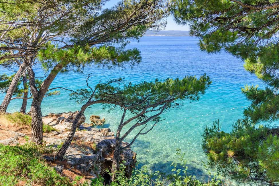 Bild Nr. 18 von Fažana: Kreuzfahrt zu den Brijuni-Inseln mit Halt auf der Pfaueninsel Aktivität in Pula, Kroatien, hochgeladen vom Anbieter