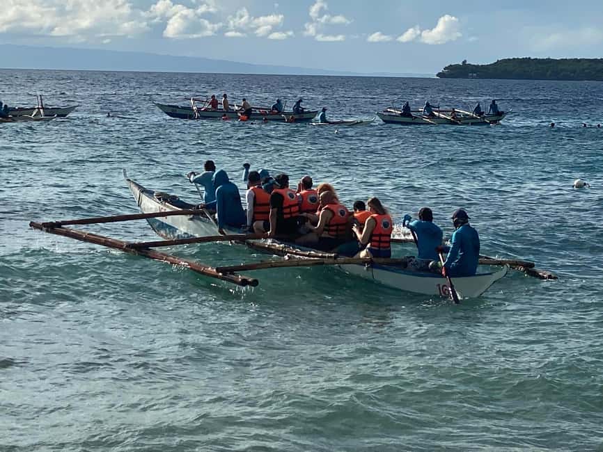 imagem n.6 de Cebu: Excursão aos tubarões-baleia, ao banco de areia de Sumilon e às cataratas de Tumalog atividade em Oslob, carregada pelo fornecedor