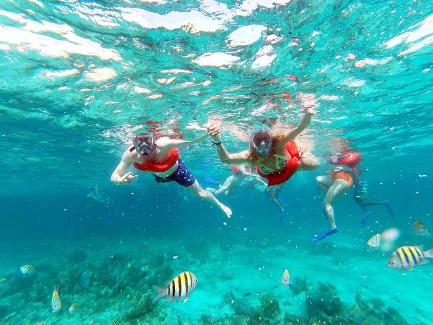 imagem n.13 de Catamarã Negril: Passeio matinal, mergulho com snorkel, DJ e Rick's Cafe atividade em Negril, carregada pelo fornecedor
