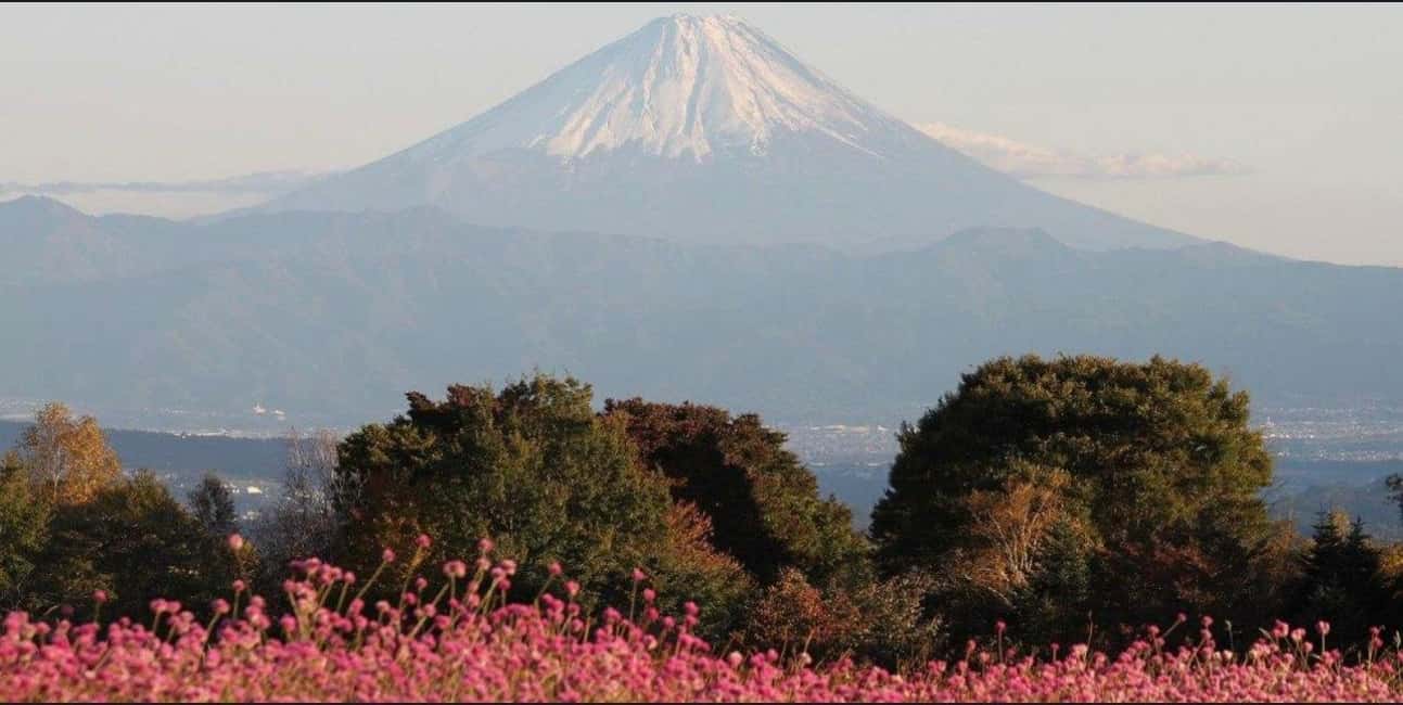 obrázek č.22 aktivity Z Tokia: Celodenní soukromá prohlídka hory Fuji s možností přizpůsobení v destinaci Hakone, nahraný poskytovatelem aktivity