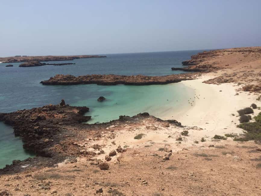 Immagine nº 5 di Muscat: tour privato in barca delle isole Daymaniyat con snorkeling attività a Oman, caricata dal fornitore