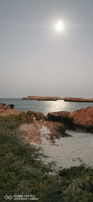 Immagine nº 13 di Isola di Daymaniyat: tour di snorkeling con pranzo gustoso attività a Seeb, caricata dal fornitore
