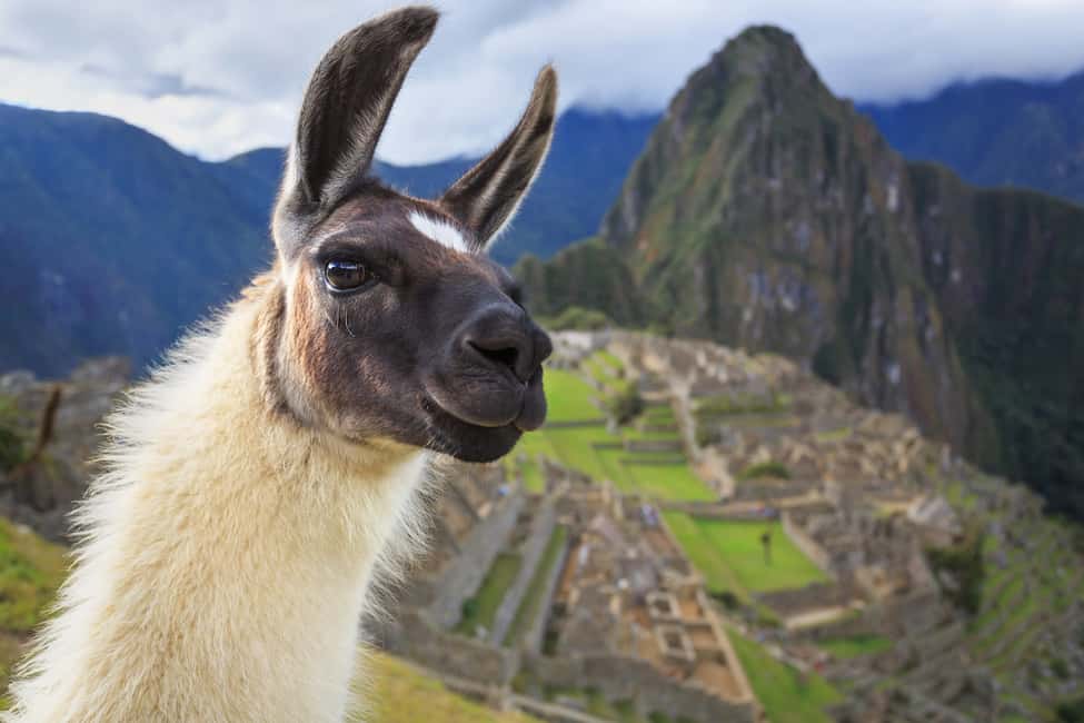 image n.2 of Machu Picchu Morning Combo: Entrance Ticket, Bus and Guide activity in Urubamba, uploaded by supplier