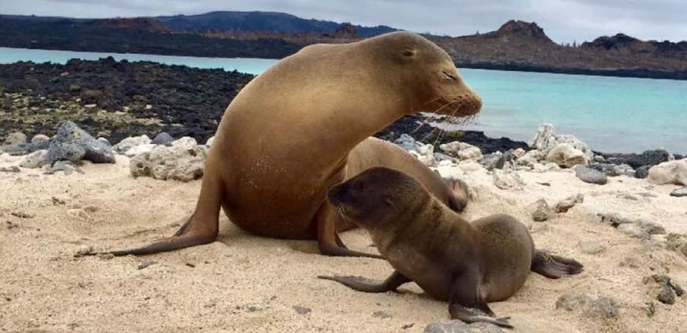 image n.2 of San Cristóbal: 6-Day 4 Galápagos Islands Adventure Tour activity in Puerto Ayora, uploaded by supplier
