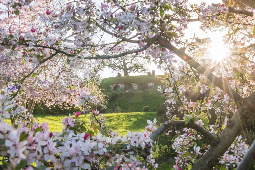 image n.13 of Matamata: Hobbiton Movie Set Guided Tour Ticket activity in Matamata, uploaded by supplier