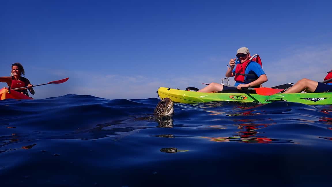 image n.6 of Tenerife: Kayak and Snorkel with Turtles with Free Videos activity in Los Cristianos, uploaded by supplier