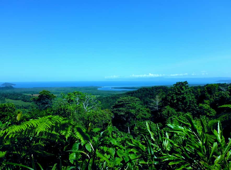 image n.2 of Cairns: Daintree, Mossman Gorge, & Cape Tribulation Day Trip activity in Queensland, uploaded by supplier