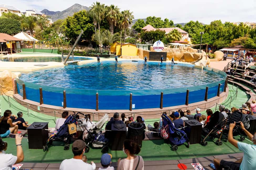 image n.7 of Benalmadena: Selwo Marina Admission Ticket activity in Benalmadena, uploaded by supplier