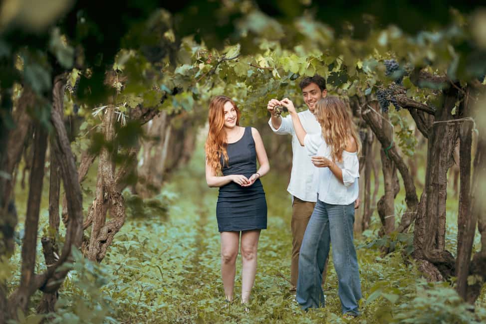 image n.13 of From Taormina: Mount Etna Food and Wine Tasting Tour activity in Catania, uploaded by supplier
