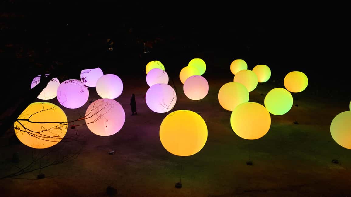 Image N°9 de Osaka : ticket d'entrée au jardin botanique teamLab activité à Osaka, publiée par le prestataire