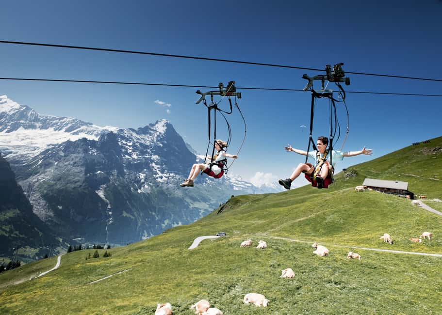 imagem n.9 de Passeio de Gôndola de Grindelwald ao Monte First atividade em Grindelwald, carregada pelo fornecedor