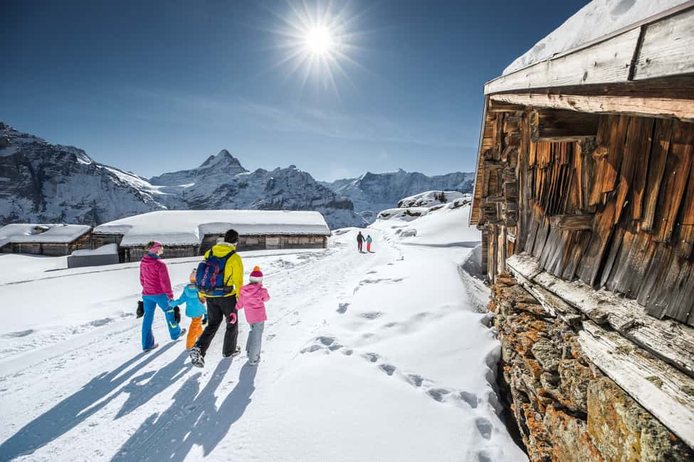 imagem n.12 de Passeio de Gôndola de Grindelwald ao Monte First atividade em Grindelwald, carregada pelo fornecedor