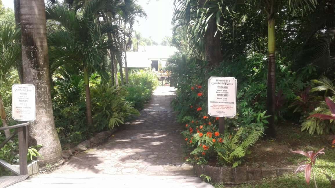image n.7 of St. Kitts Island Half-Day Bus Tour activity in Old Road Town, uploaded by supplier