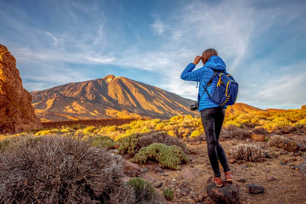 billede nr.2 af aktiviteten Fra det sydlige Tenerife: Dagstur med vandring på Teide-bjerget og svævebane i Kanarieøerne, uploadet af udbyder