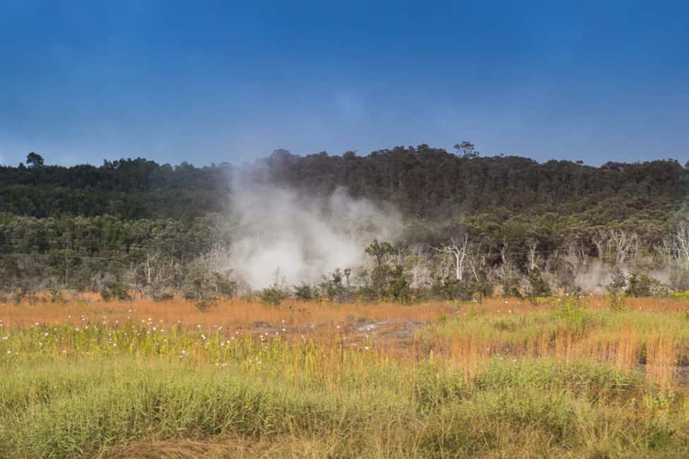 image n.7 of Big Island: Volcanoes, Waterfalls, & Coffee Farm Day-Trip activity in Naalehu, Hawaii, uploaded by supplier