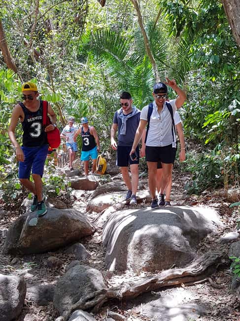 image n.8 of Puerto Vallarta: 4-Hour Jungle Hike and Waterfall Swim activity in Puerto Vallarta, uploaded by supplier