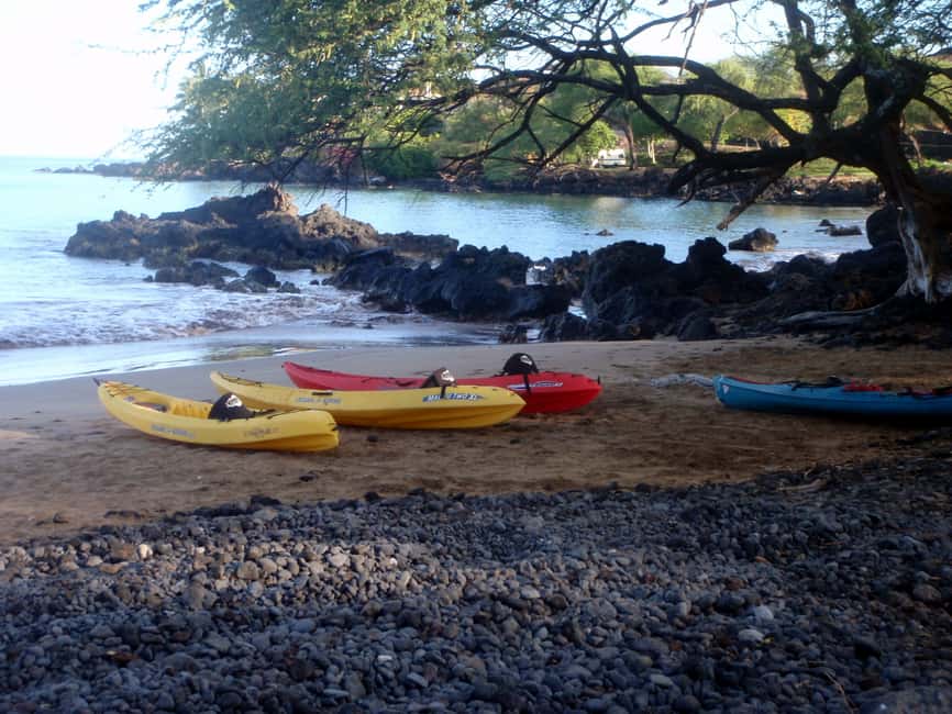image n.5 of South Maui: Whale Watch Kayaking and Snorkel Tour in Kihei activity in Kihei, uploaded by supplier