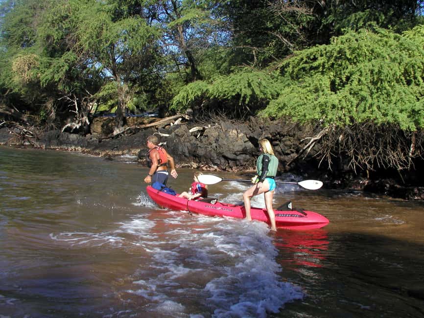 image n.2 of South Maui: Whale Watch Kayaking and Snorkel Tour in Kihei activity in Kihei, uploaded by supplier