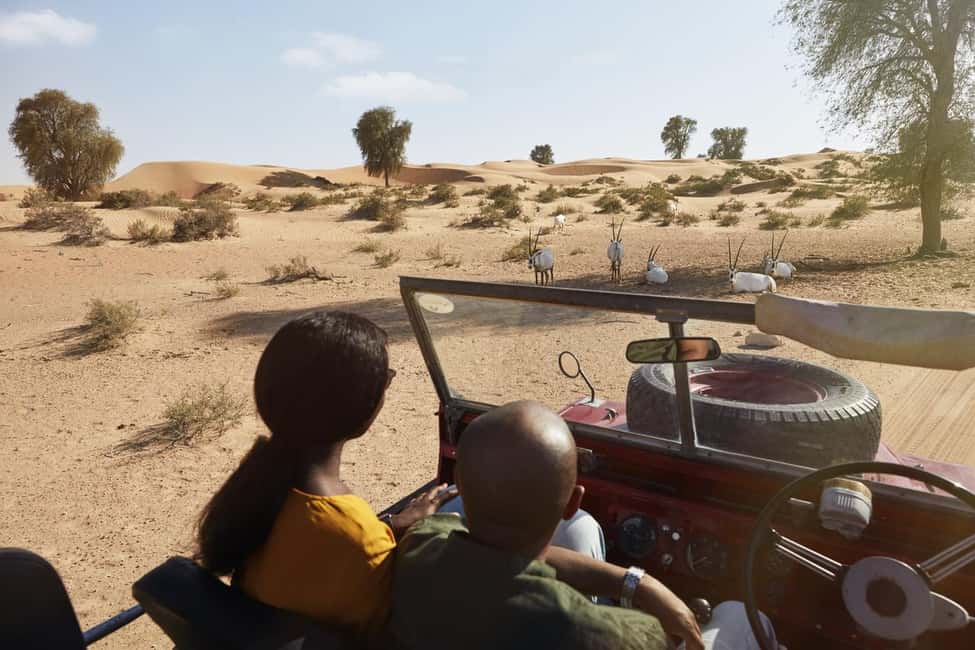 サプライヤーによってアップロードされた、ドバイのドバイ：ヴィンテージ ランドローバーでディナー付きのヘリテージ サファリの画像#5