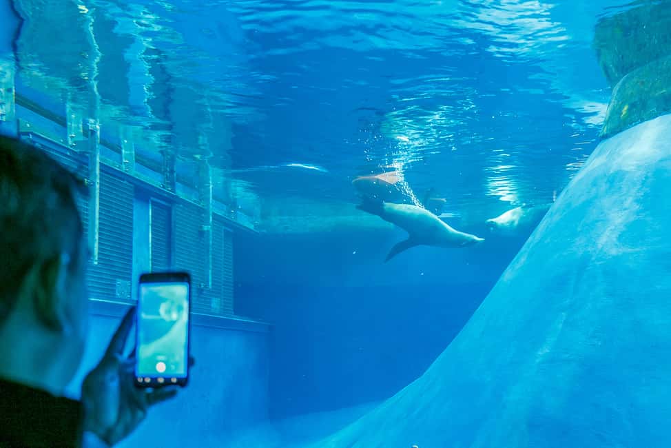 image n.5 of Melbourne Zoo: 1-Day Entry Ticket activity in Melbourne, uploaded by supplier