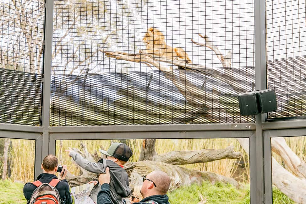 image n.9 of Melbourne Zoo: 1-Day Entry Ticket activity in Melbourne, uploaded by supplier
