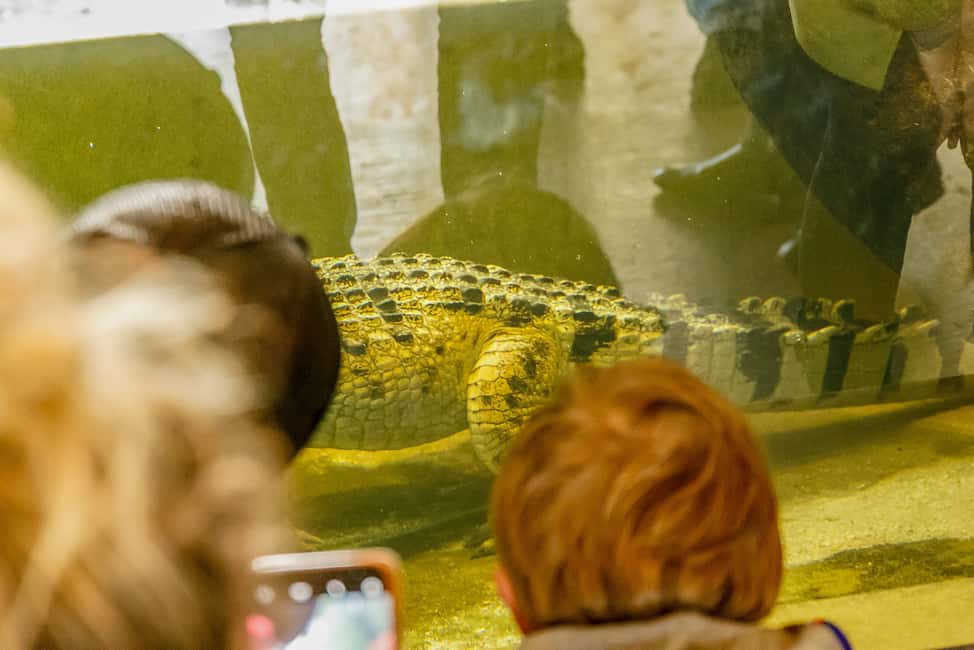 image n.11 of Melbourne Zoo: 1-Day Entry Ticket activity in Melbourne, uploaded by supplier