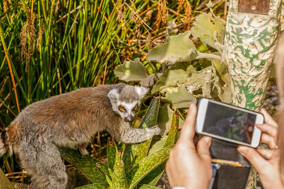 image n.4 of Melbourne Zoo: 1-Day Entry Ticket activity in Melbourne, uploaded by supplier
