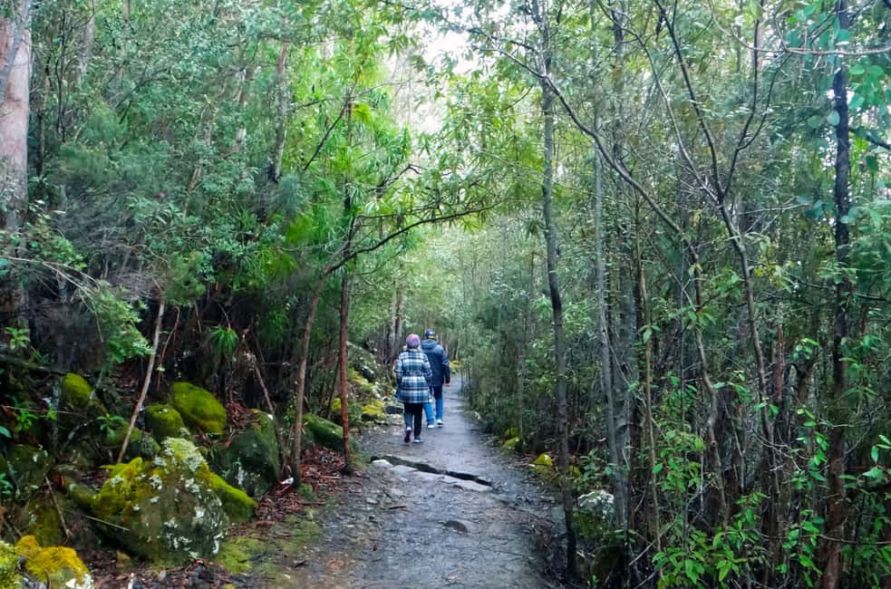 image n.5 of Kunanyi & Mt Wellington Explorer Bus: One-Way Bus Pass activity in Tasmania, uploaded by supplier