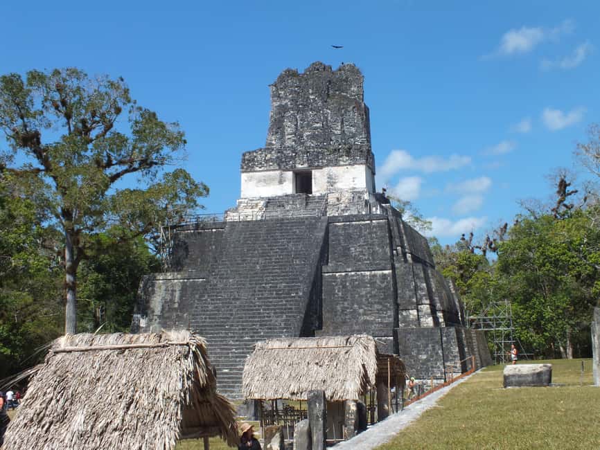 image n.3 of From Flores: Tikal Ruins Guided Tour activity in Flores, Guatemala, uploaded by supplier