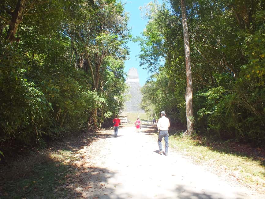 image n.4 of From Flores: Tikal Ruins Guided Tour activity in Flores, Guatemala, uploaded by supplier