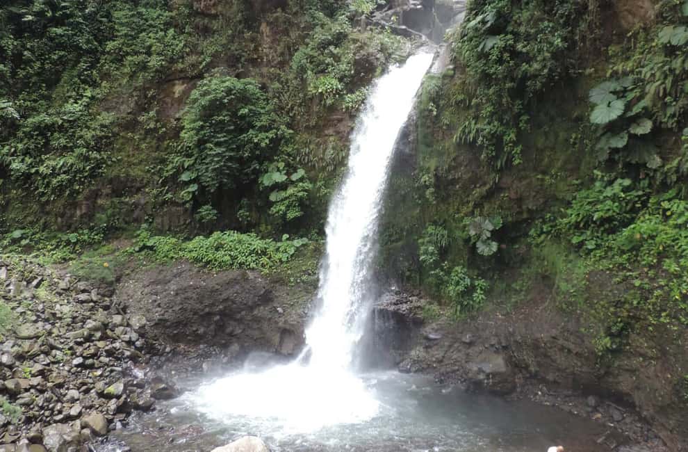 image n.7 of San José: Arenal Volcano, Waterfalls, Coffee and Hot Springs activity in Alajuela Province, uploaded by supplier