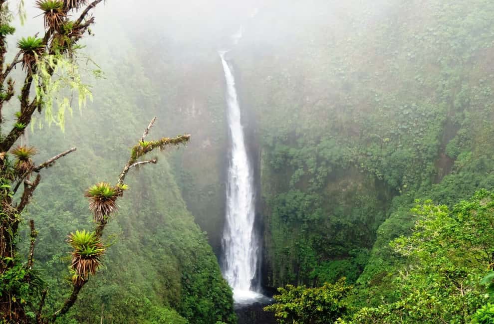 image n.4 of San José: Arenal Volcano, Waterfalls, Coffee and Hot Springs activity in Alajuela Province, uploaded by supplier